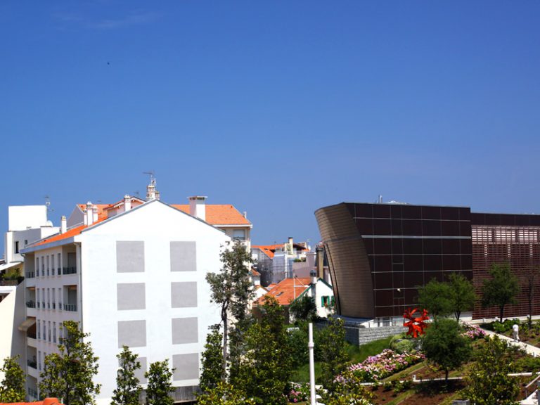 The gardens of the media library